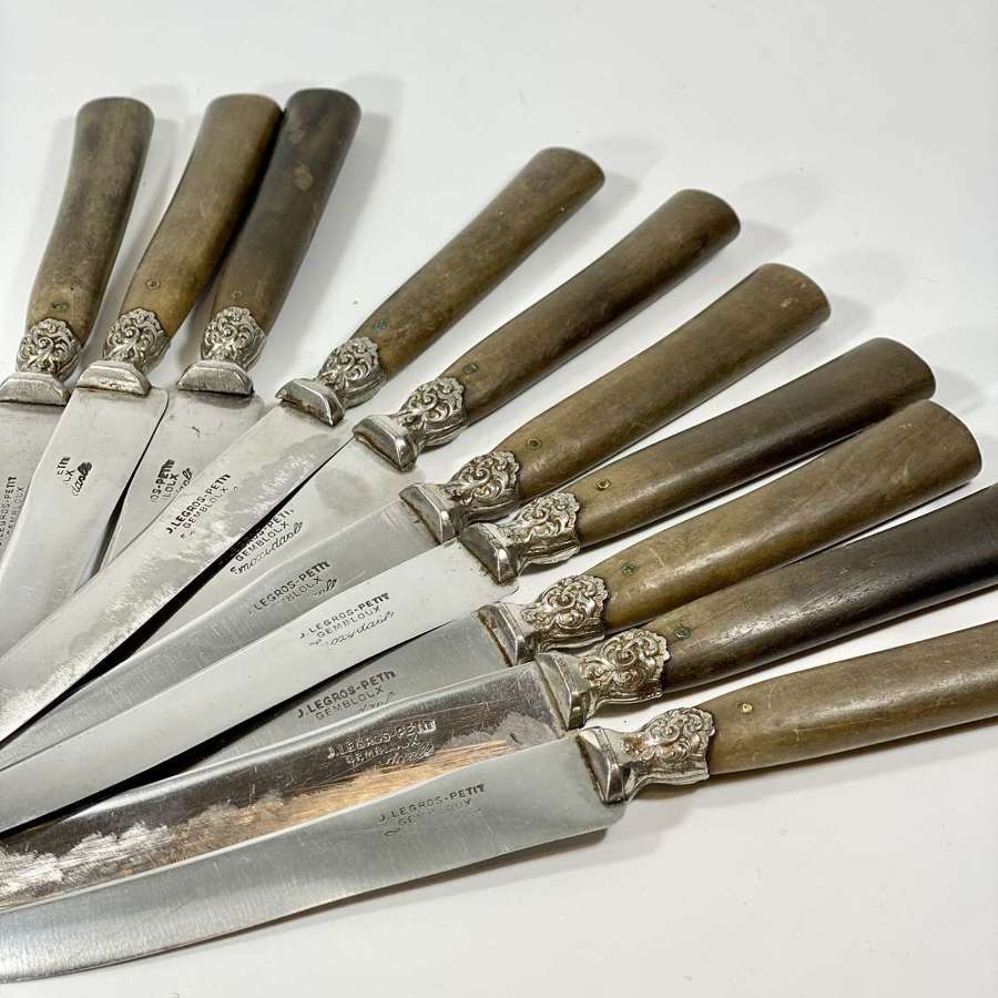 Set of 10 antique French wooden handled knives