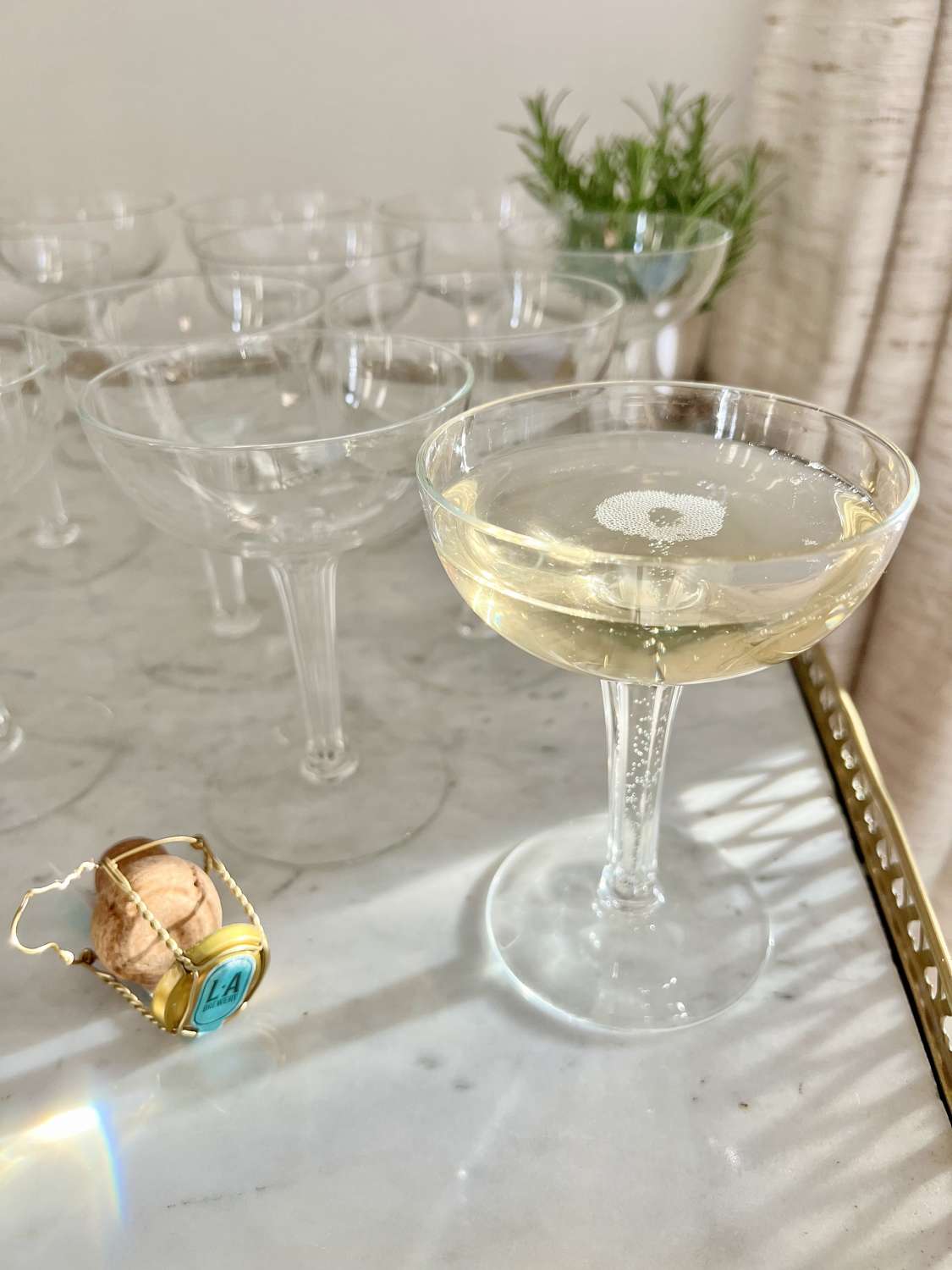 11 Hollow Stem Champagne Coupe Glasses