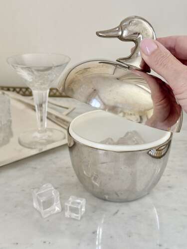 Hans Turnwald for Freddotherm Duck ice bucket