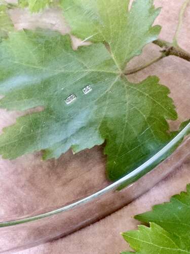 Fine French vintage silver plated wine cooler C1950/60s
